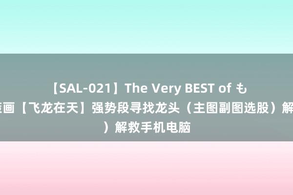 【SAL-021】The Very BEST of もえ 邃晓信策画【飞龙在天】强势段寻找龙头（主图副图选股）解救手机电脑