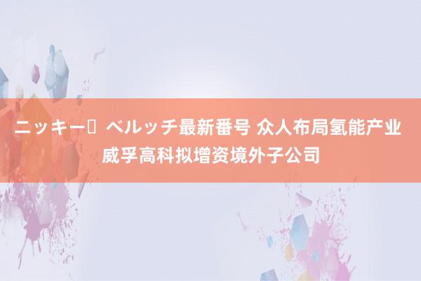 ニッキー・ベルッチ最新番号 众人布局氢能产业 威孚高科拟增资境外子公司