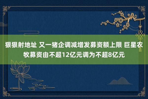 狠狠射地址 又一猪企调减增发募资额上限 巨星农牧募资由不超12亿元调为不超8亿元