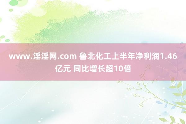 www.淫淫网.com 鲁北化工上半年净利润1.46亿元 同比增长超10倍