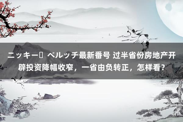 ニッキー・ベルッチ最新番号 过半省份房地产开辟投资降幅收窄，一省由负转正，怎样看？