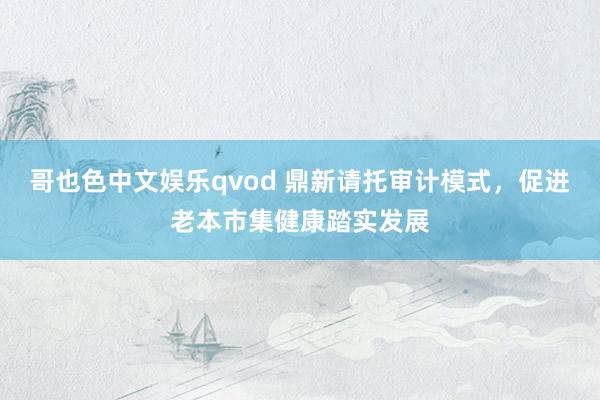 哥也色中文娱乐qvod 鼎新请托审计模式，促进老本市集健康踏实发展