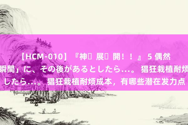 【HCM-010】『神・展・開！！』 5 偶然見かけた「目が奪われる瞬間」に、その後があるとしたら…。 猖狂栽植耐烦成本，有哪些潜在发力点