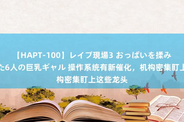 【HAPT-100】レイプ現場3 おっぱいを揉みしだかれた6人の巨乳ギャル 操作系统有新催化，机构密集盯上这些龙头