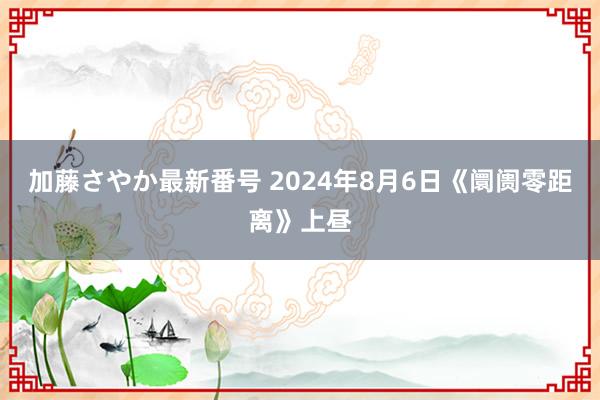 加藤さやか最新番号 2024年8月6日《阛阓零距离》上昼