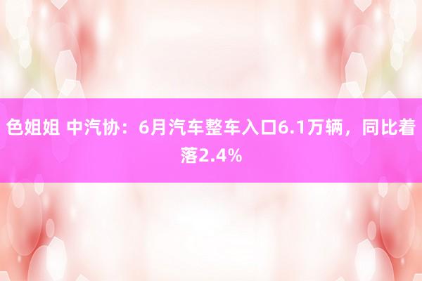 色姐姐 中汽协：6月汽车整车入口6.1万辆，同比着落2.4%