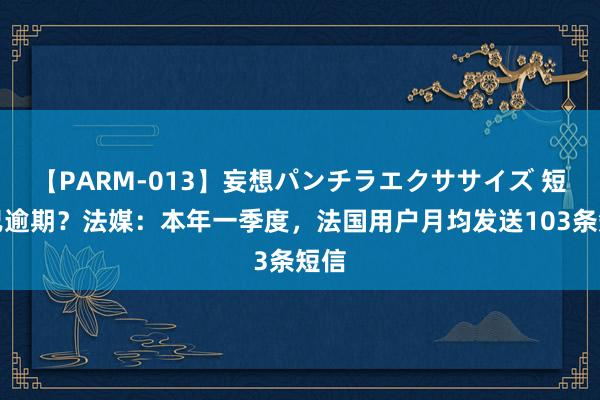 【PARM-013】妄想パンチラエクササイズ 短信已逾期？法媒：本年一季度，法国用户月均发送103条短信