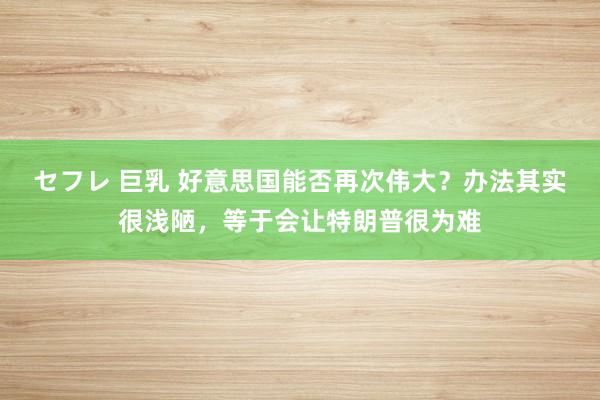 セフレ 巨乳 好意思国能否再次伟大？办法其实很浅陋，等于会让特朗普很为难