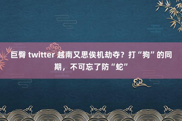 巨臀 twitter 越南又思俟机劫夺？打“狗”的同期，不可忘了防“蛇”