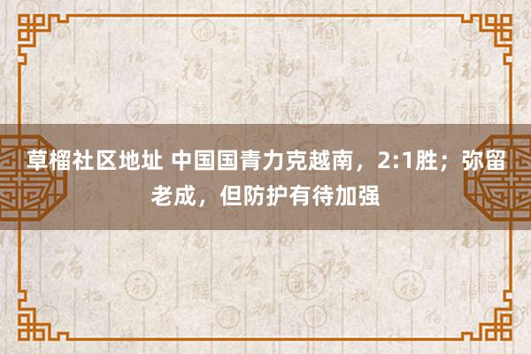 草榴社区地址 中国国青力克越南，2:1胜；弥留老成，但防护有待加强