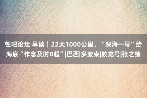 性吧论坛 早读｜22天1000公里，“深海一号”给海底“作念及时B超”|巴西|多波束|蛟龙号|张之臻