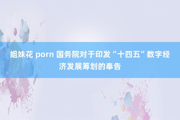 姐妹花 porn 国务院对于印发“十四五”数字经济发展筹划的奉告