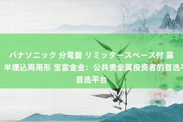 パナソニック 分電盤 リミッタースペース付 露出・半埋込両用形 宝富金业：公共贵金属投资者的首选平台